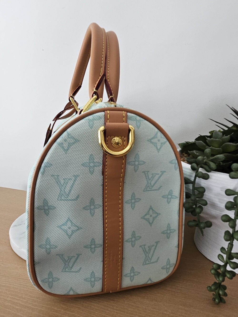 Designer Inspired Luxury Canvas Soft Speedy with Tan Trim - Picture 2 of 5